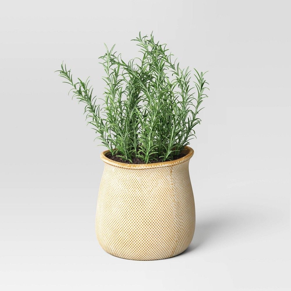 Antique Finish Ceramic Indoor Outdoor Novelty Planter 1 Planter Pot Cream 8"x8" - Threshold