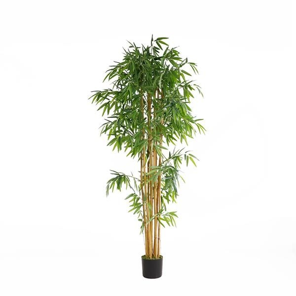 BAMBOO  NP0076_210  210cm NewPlan