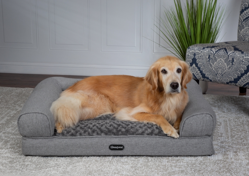 Beautyrest Lux Lounger Memory Foam Couch Bed