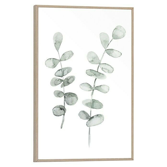 Bild Slim Frame (Eucalyptus Strings, B x H: 20 x 30 cm, Papier, Mit Rahmen)