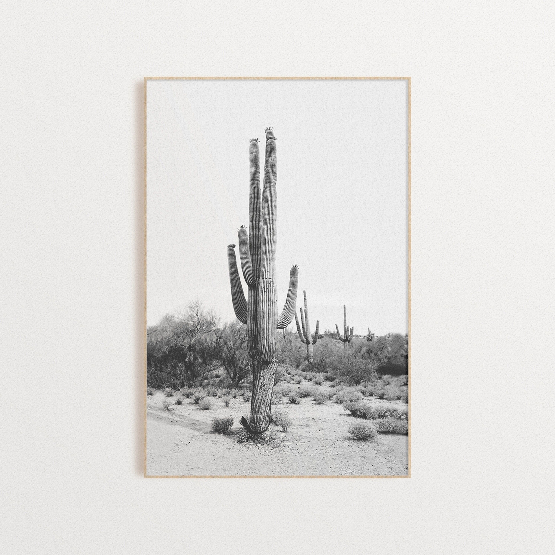 Black and White Cactus Print, Desert Wall Art, DIGITAL DOWNLOAD, Arizona Poster, Boho Cactus Wall Art, Southwestern Wall Decor, Digital Art