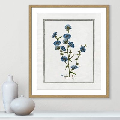 Casa Fine Arts Soft Botanical I - Framed Art Full Bleed Paper in Blue / Green, Size 25.5 H x 21.5 W x 0.75 D in | Wayfair | Home Decor