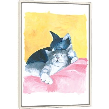 Cat Siesta
