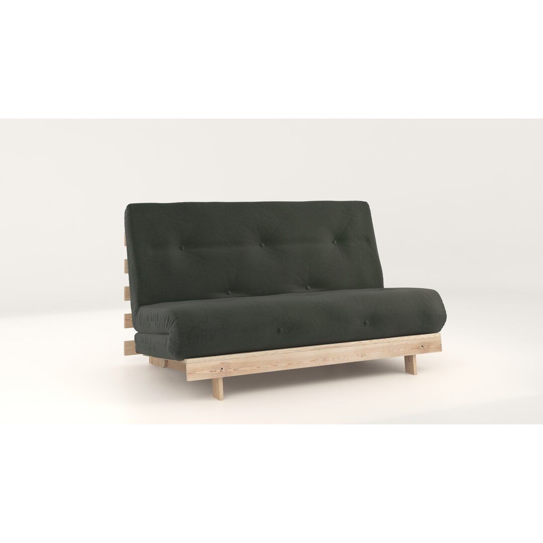 Chenango 2 Seater Futon Sofa