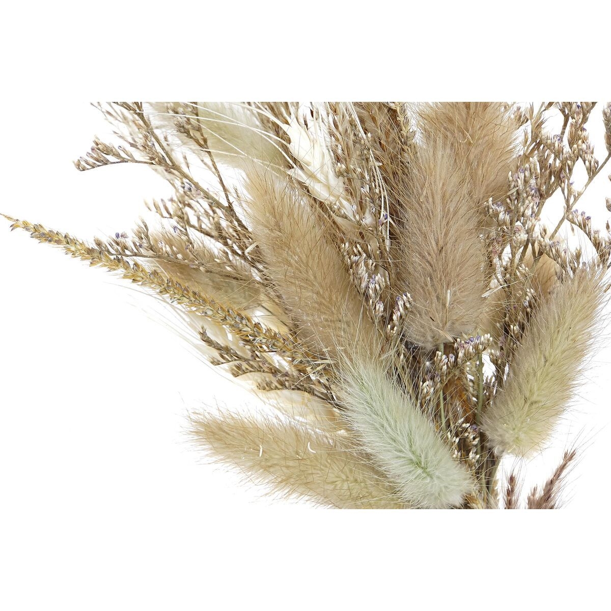 Fleur dcorative DKD Home Decor 16 x 6 x 21 cm Beige Marron Fleurs (2 Units)