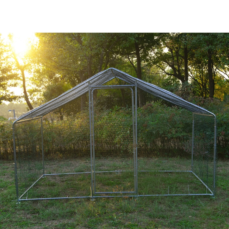 Francisco 66 Square Feet Chicken Run