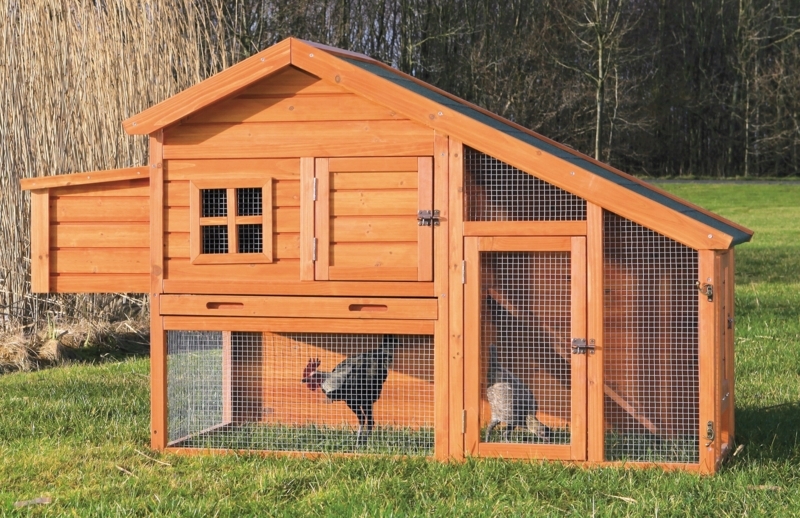 Gatsby 21 Square Feet Chicken Coop with Chicken Run For Up To 5 Chickens
