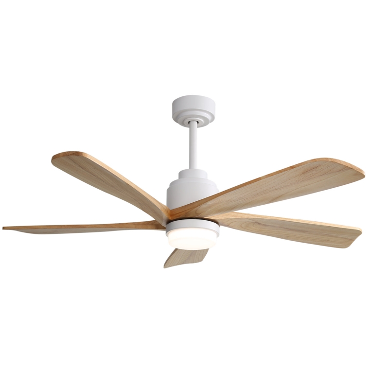 Guidinha 52'' Ceiling Fan with LED Lights