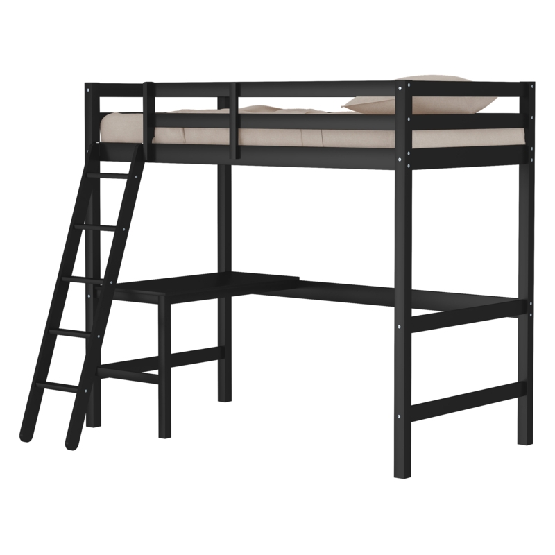 Harold Kids Twin Loft Bed