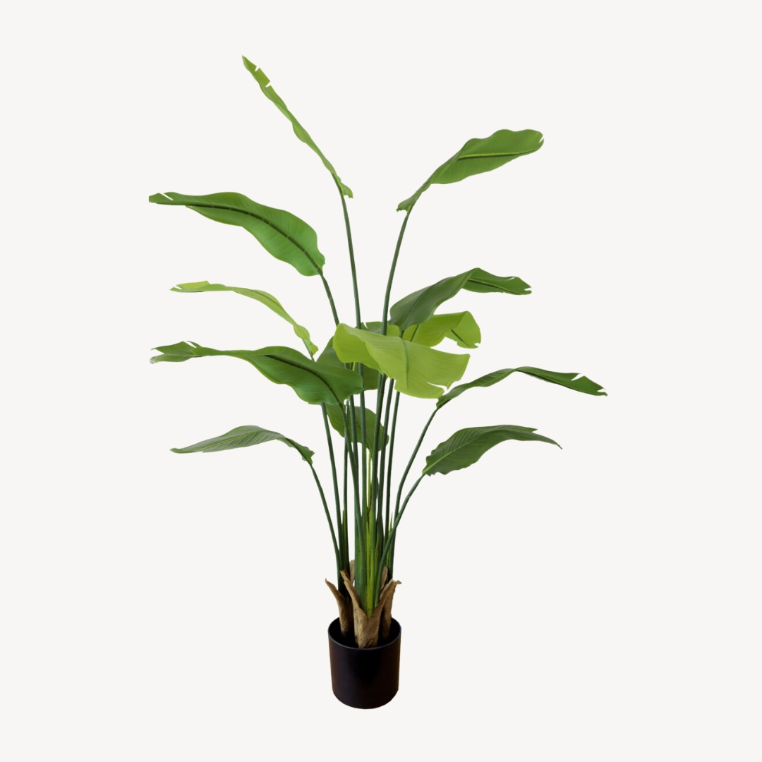 Kunstplant Strelitzia - 160cm
