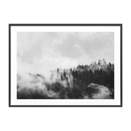 Misty Forest Framed Print Frame / Size: Black Frame / 83 x 113cm - Temple & Webster