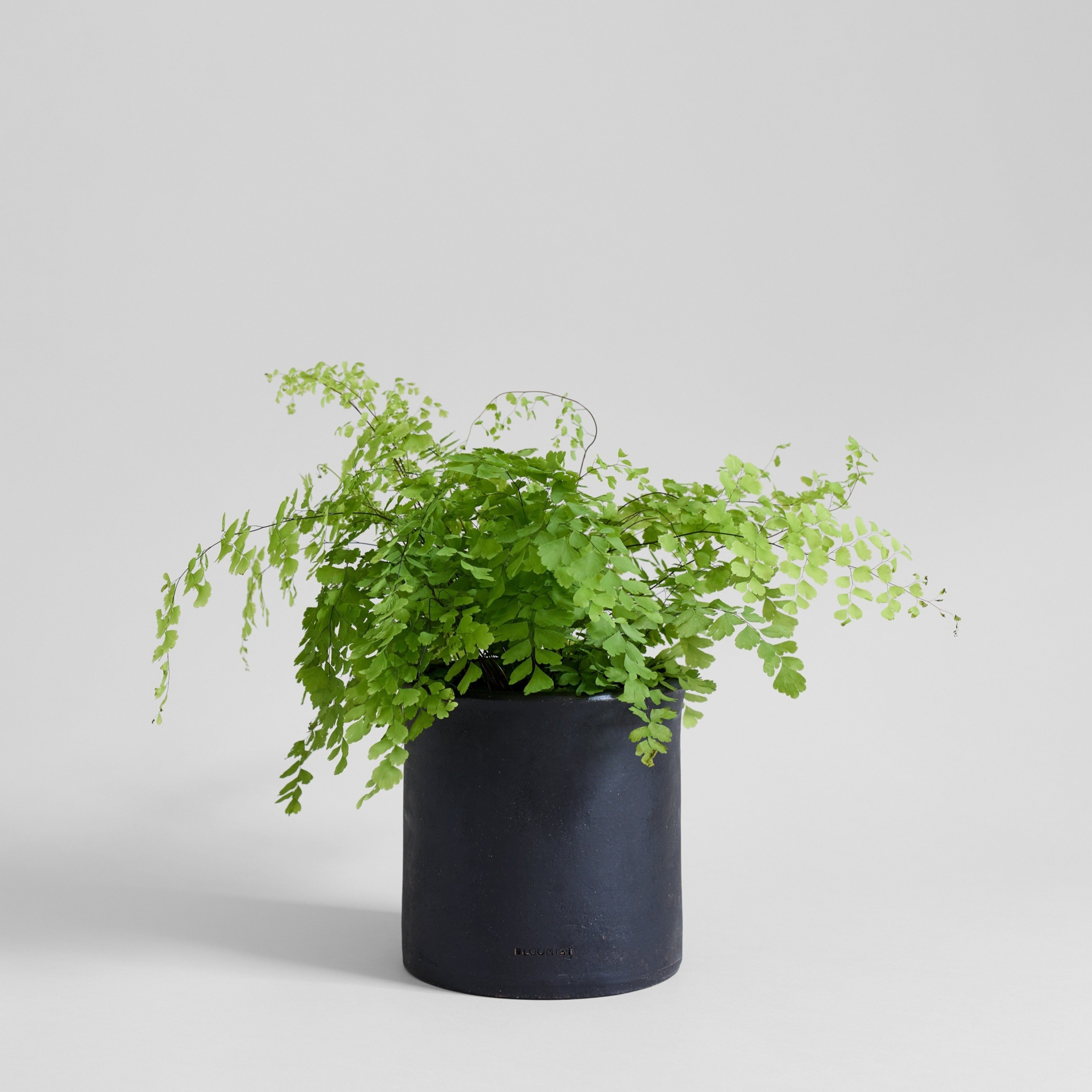 Modern Planter in Charcoal - Large
