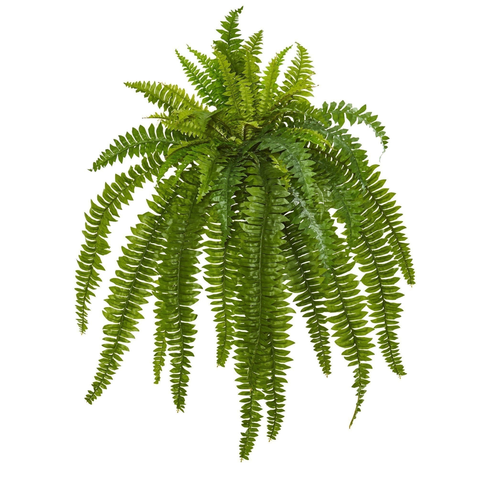 Nearly Natural 35-in Boston Fern Artificial Plant (Set of 2) | Mathis Home