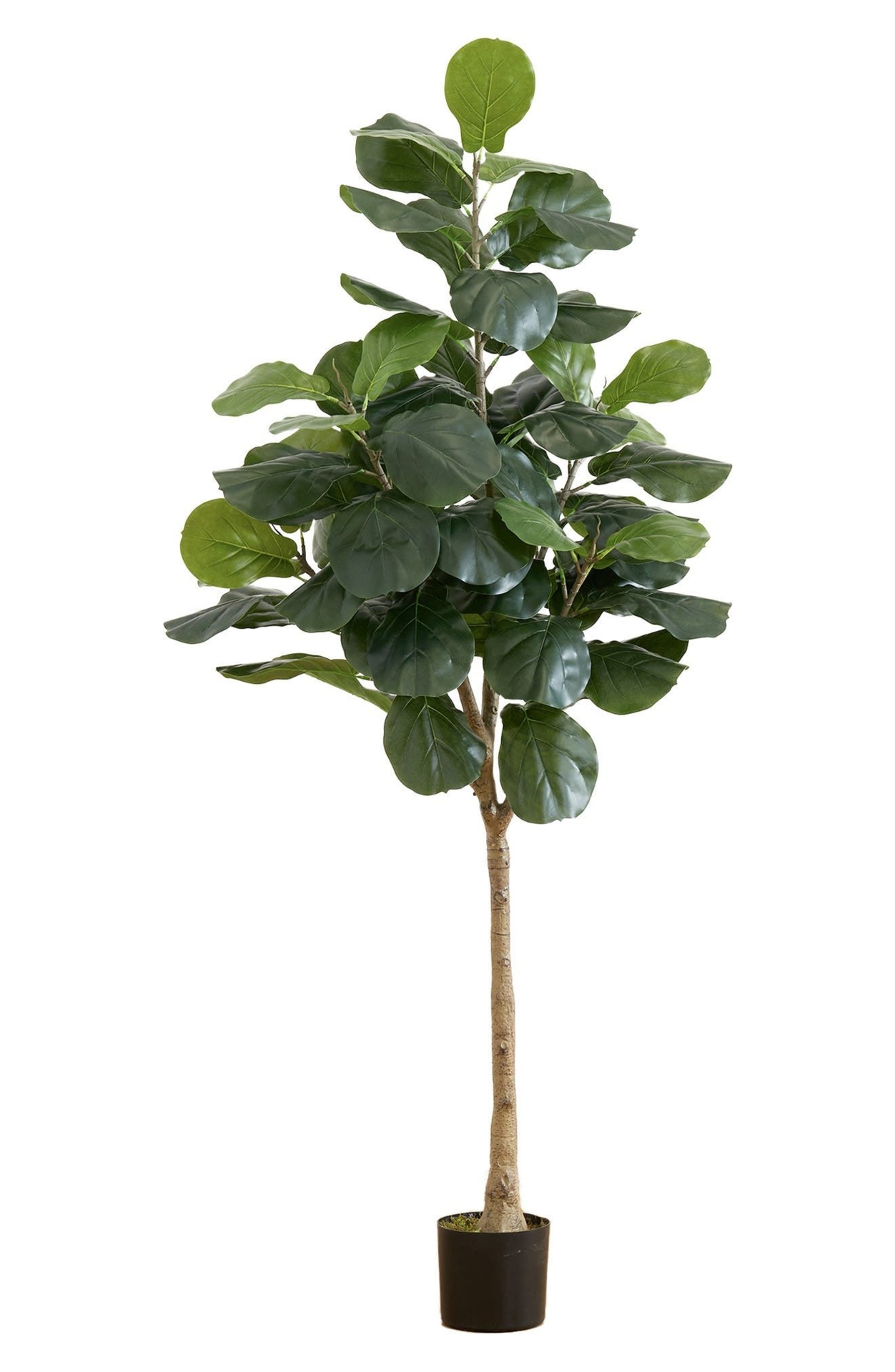 NEARLY NATURAL 6 ft. Fiddle Leaf Fig Tree Artificial Plant in Green at Nordstrom Rack