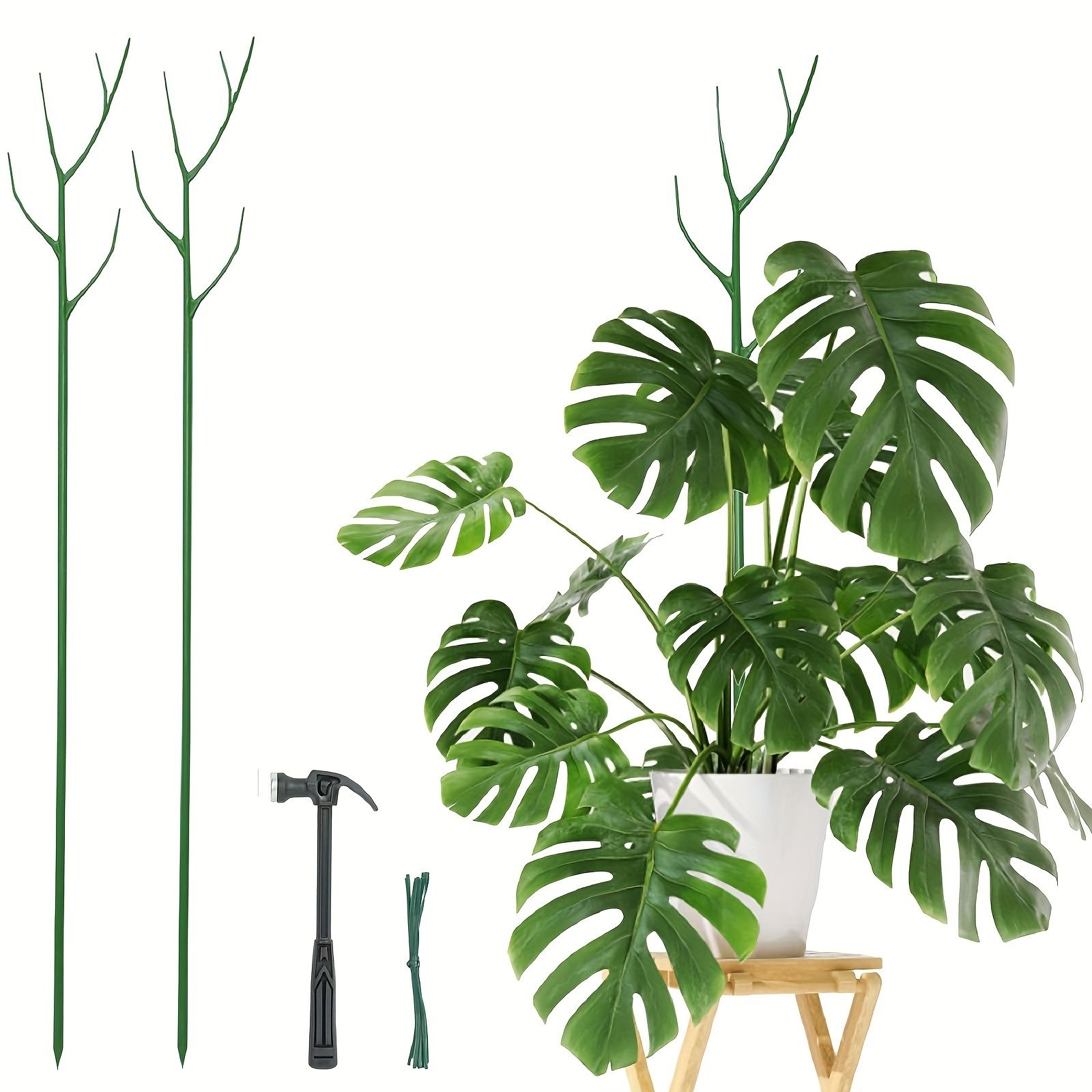 null1 Pice, Poteaux Pour Plantes D'intrieur, Treillis De Branches Vertes Pour Plantes D'extrieur, Btons De Support Pour Plantes De 39,4 Pouces Pour Piquet De Fleur Monstera Hoyapotos Avec Poteaux De Jardin En Marteau, St