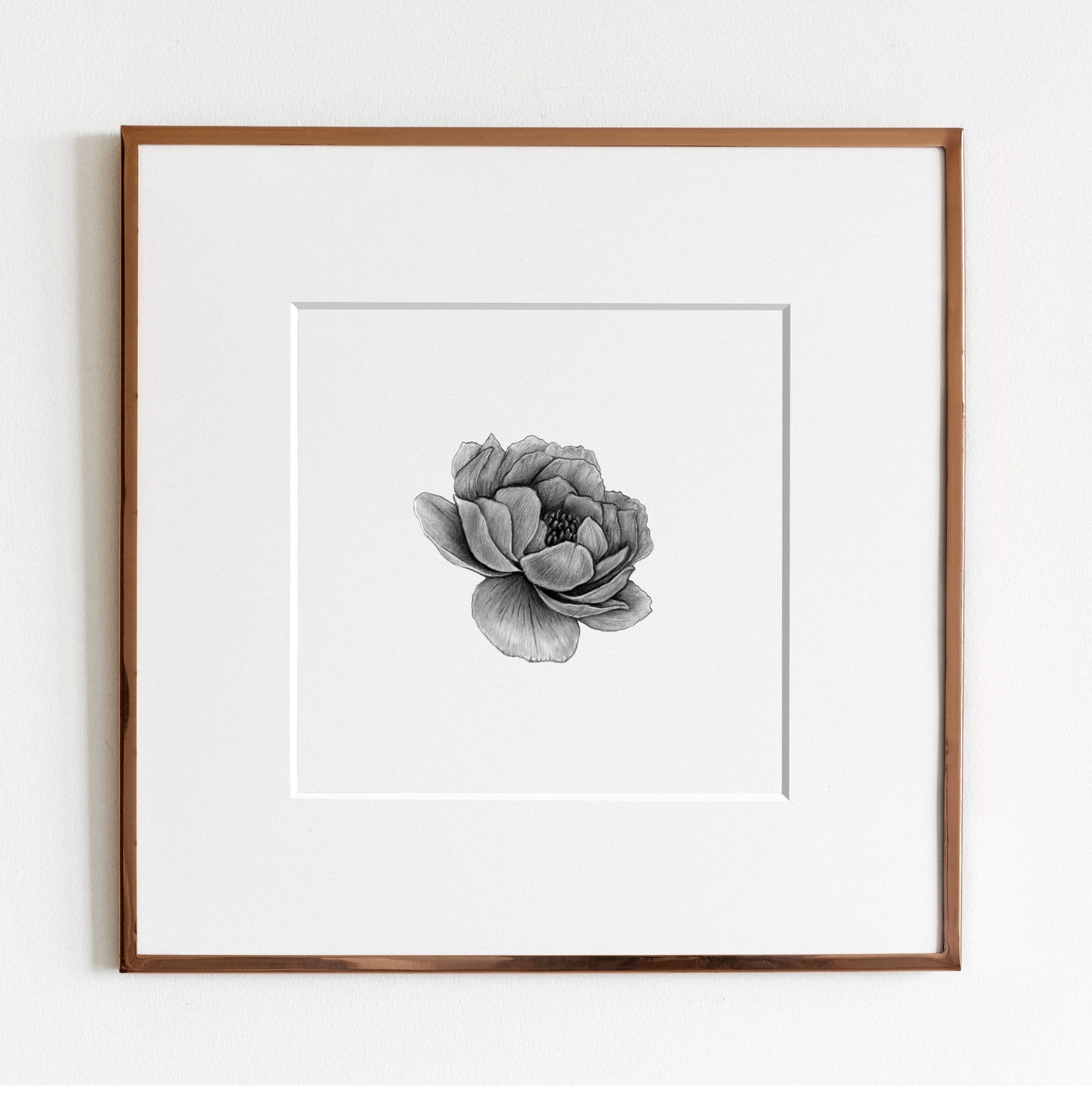 Peony Art Print