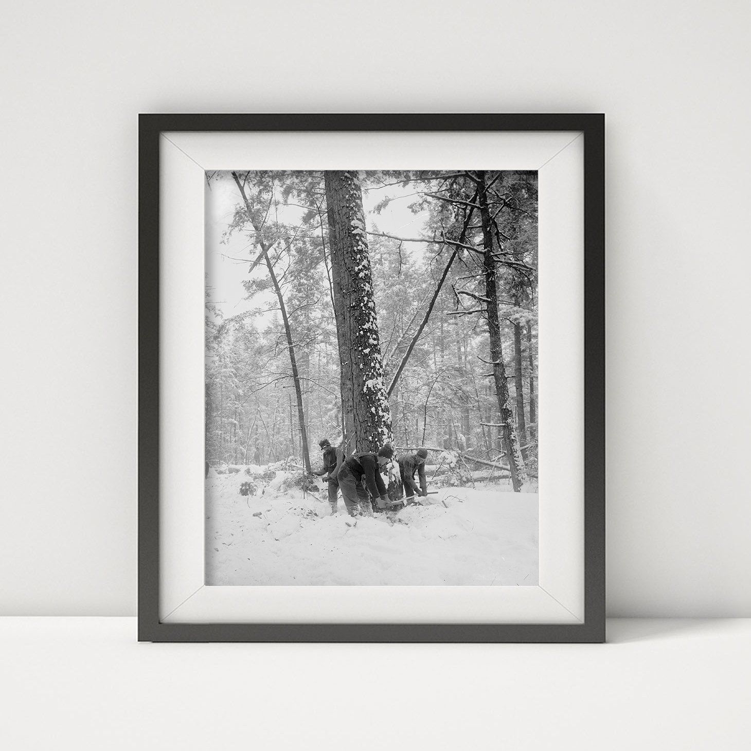 Photo: Logging, Felling Tree, Lumber Industry, Snow, Woodcutting, logs, Michigan, MI, 1880
