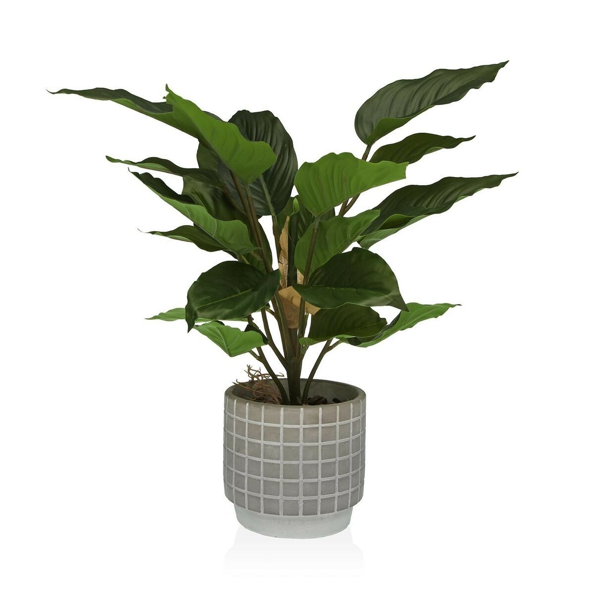 Plante dcorative Versa Ciment Plastique 15 x 47 x 15 cm