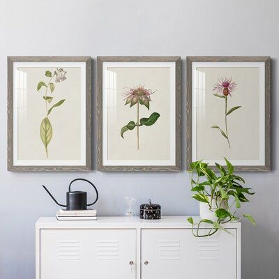 Red Barrel Studio Mauve Garden Flowers IV Premium Framed Matte - Ready To Hang Paper in Black/Blue/Brown, Size 1.0 D in | Wayfair | Home Decor