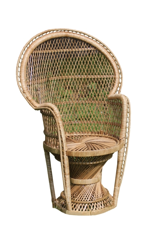 Romulus Upholstered Armchair