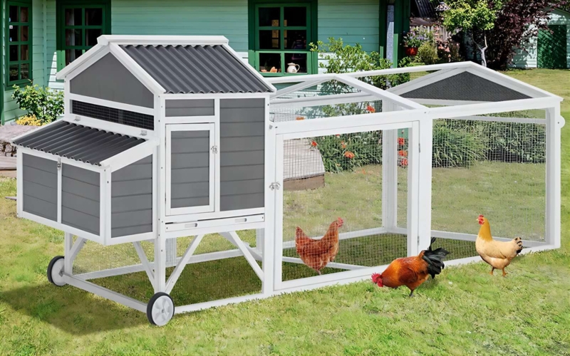Sammie 27.7 Square Feet Chicken Coop with Chicken Run For Up To 5 Chickens