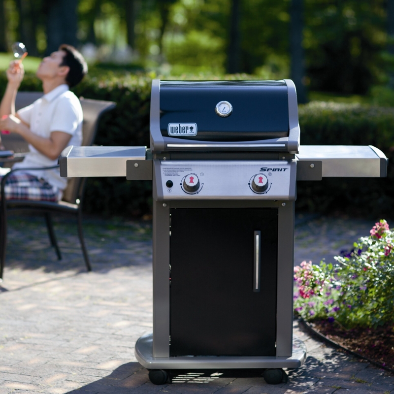 Spirit E-210 2-Burner Propane Gas Grill with Cabinet