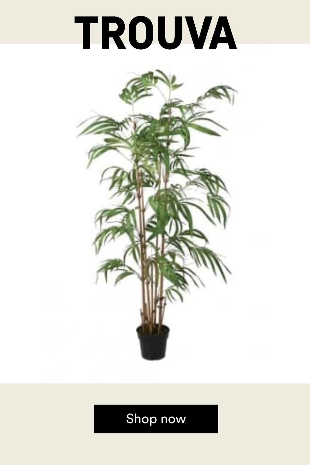 The Home Collection Tall Bamboo Plant In Pot
