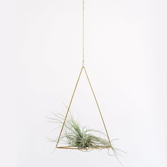 Triangle Air Planter Set by Hali-Ann Tooms