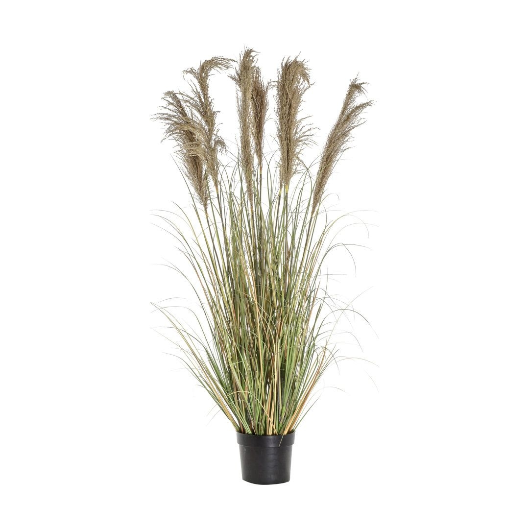 152Cm Artificial Pampas Grass in Pot