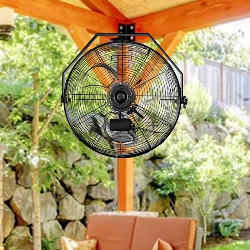Decorative Wall Mounted Fans