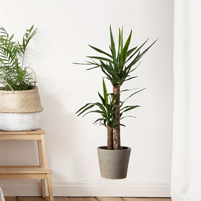 1pc Creative Wall Sticker, Fresh Green Plant Potted Pattern Self-adhesive Wall Stickers, Bedroom Entryway Living Room Porch Home Decoration Wall Stickers, Removable Stickers, Wall Decor Decals