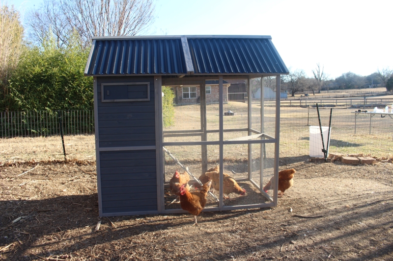 28.1 Square Feet with Chicken Run