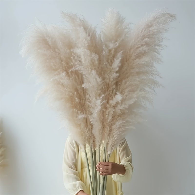 5/10pcs Natural Dried Pampas Grass Bohemian Style Home Wedding Decor, Diy Fluffy Dry Pampas Flower Vase Christmas Decoration