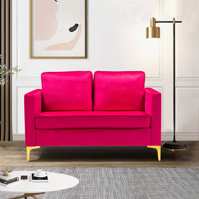 Adalynn 51'' Velvet Loveseat