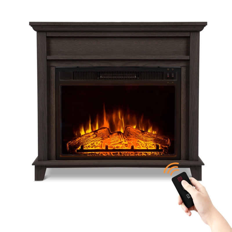 Annique 31.65" W Electric Fireplace