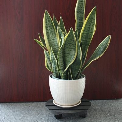 Arlmont & Co. Steen Caddy Wood/Plastic in Black, Size 2.9 H x 11.2 W x 11.2 D in | Wayfair