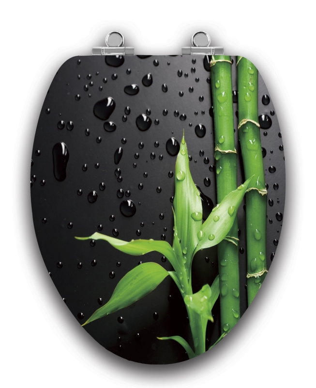 Art Of Acryl Elongated Soft Close Toilet Seat and Lid