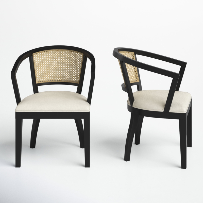 Ashia Velvet Upholstered Armchair (Set of 2)