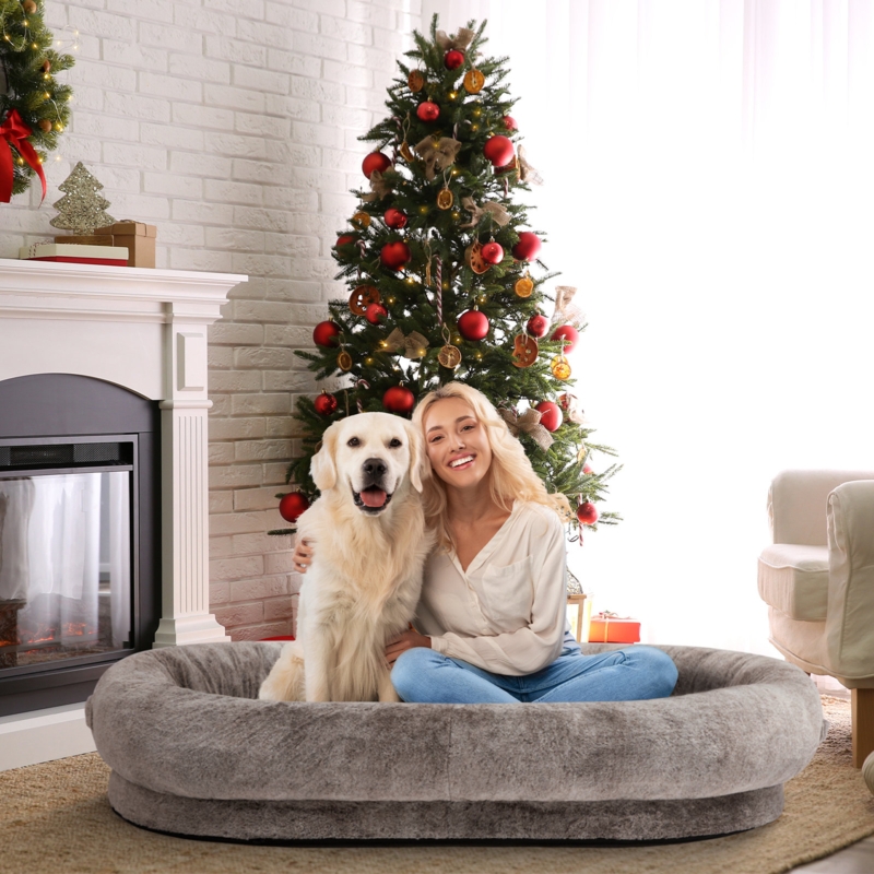 Bean Bag Sofa