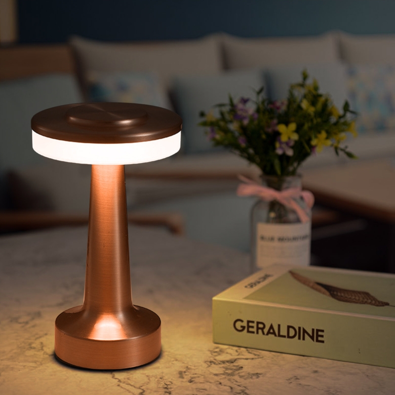 Caidenlee LED Iron Night Light With Touch Sensor Portable Mushroom Lamp with Rechargeable Light Bulbs