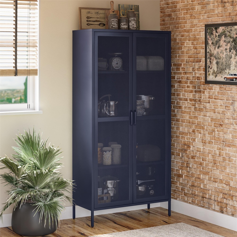 Channing 72.83'' Tall Steel 2 - Door Accent Cabinet