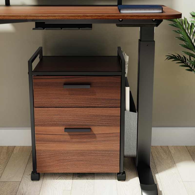 Chebanse 2-Drawer Mobile Vertical Filing Cabinet
