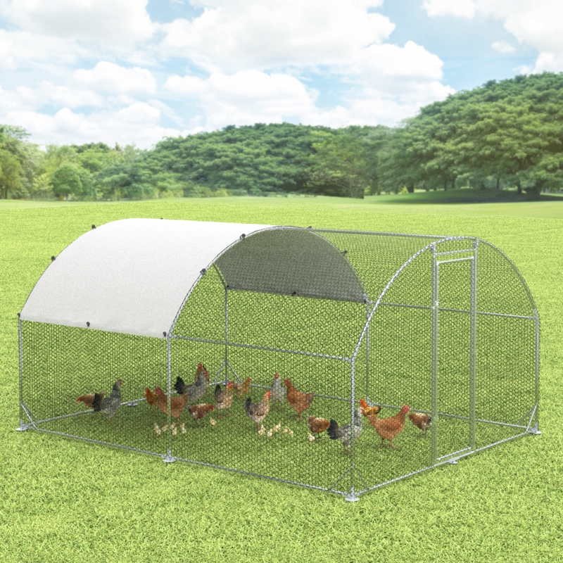 Dearia Chicken Run