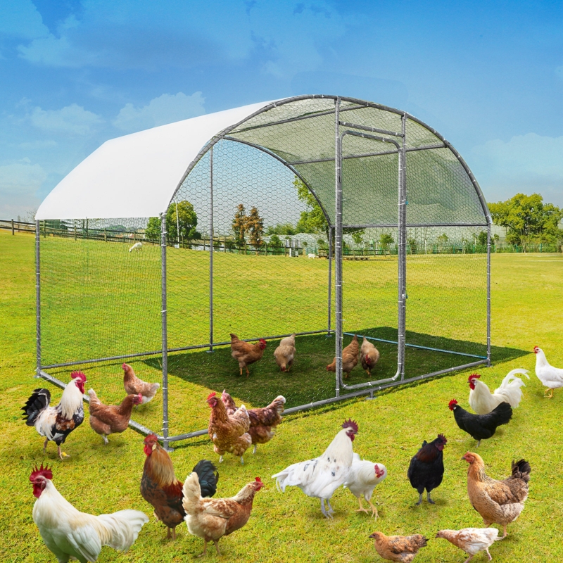 Decarla Metal Chicken Coop with round top
