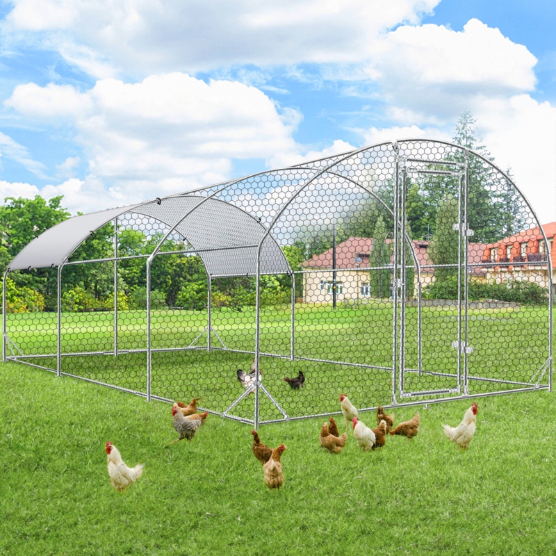 Dervon 195 Square Feet Walk In Chicken Run For Up To 20 Chickens