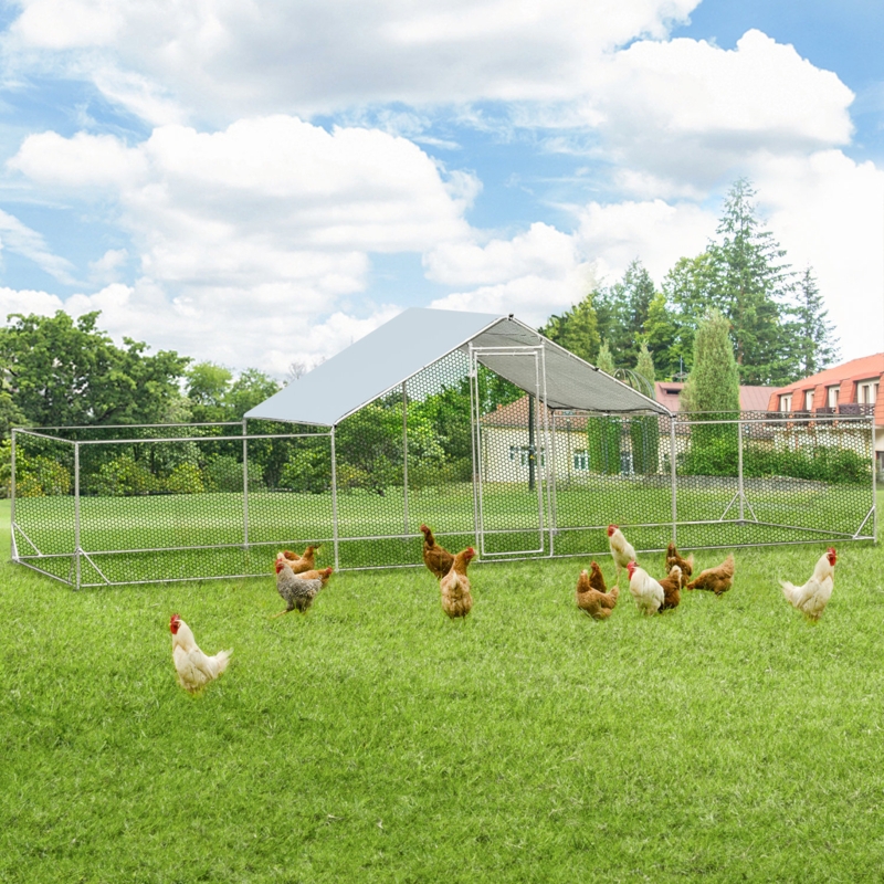 Derwyn 146.25 Square Feet Walk In Chicken Run For Up To 15 Chickens