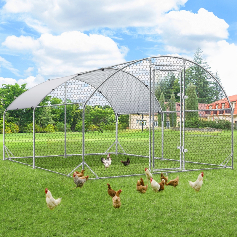 Deryk 130 Square Feet Walk In Chicken Run For Up To 13 Chickens