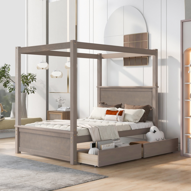 Dilyla Canopy Storage Bed