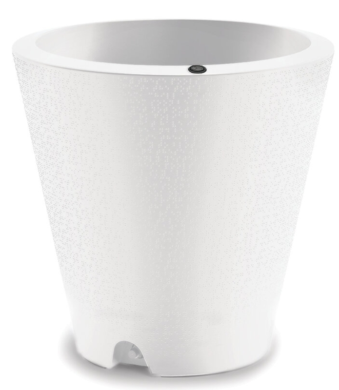 Dot Planter