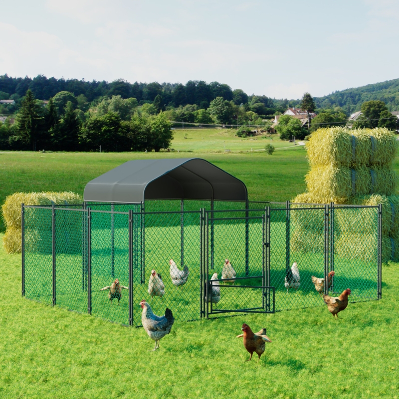Dovidio 10 Square Feet with Chicken Run 30